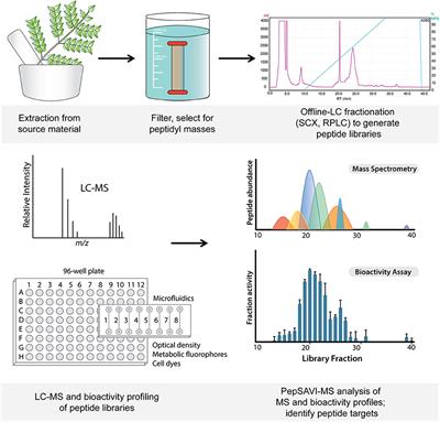 Implementation of Microfluidics for Antimicrobial Susceptibility Assays: Issues and Optimization Requirements